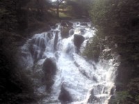 swallow falls.jpg