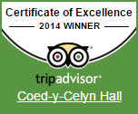 Trip Advisor Coed y Celyn